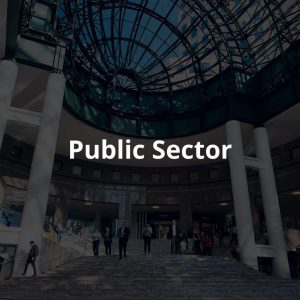 Public Sector